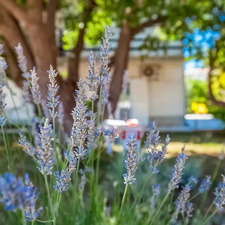 House Sepic By El-pi Tours Hébergement de vacances Kornić