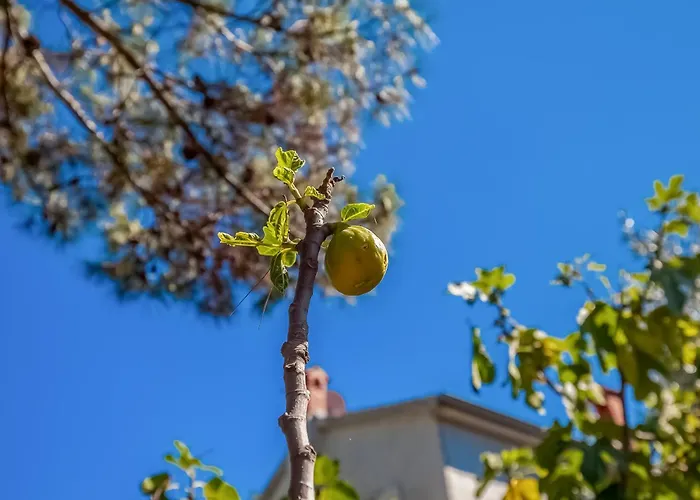 House Sepic By El-pi Tours Dom wakacyjny