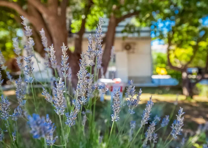 House Sepic By El-pi Tours Dom wakacyjny Kornić