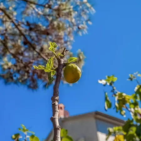 House Sepic By El-pi Tours Σπίτι διακοπών