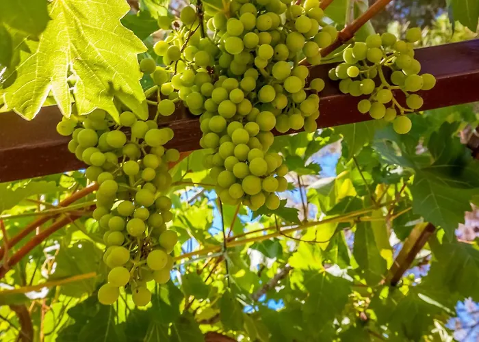 House Sepic By El-pi Tours * Kornić